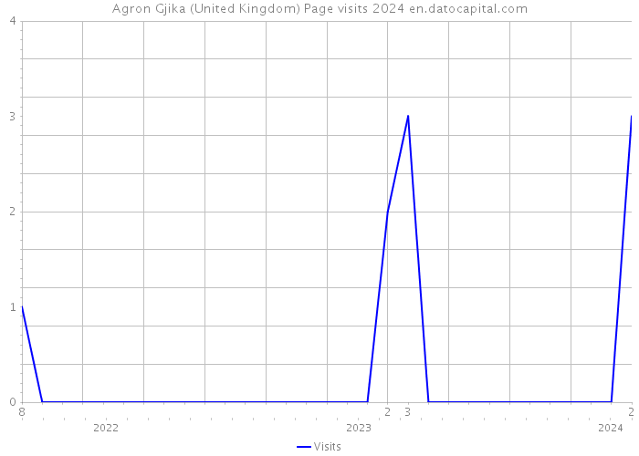 Agron Gjika (United Kingdom) Page visits 2024 
