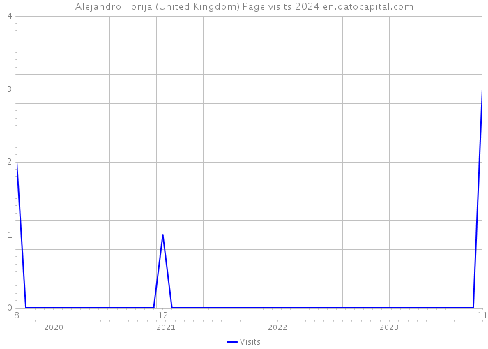 Alejandro Torija (United Kingdom) Page visits 2024 