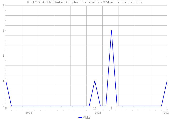 KELLY SHAILER (United Kingdom) Page visits 2024 