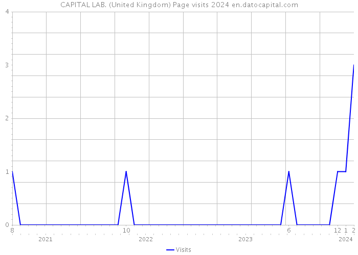 CAPITAL LAB. (United Kingdom) Page visits 2024 