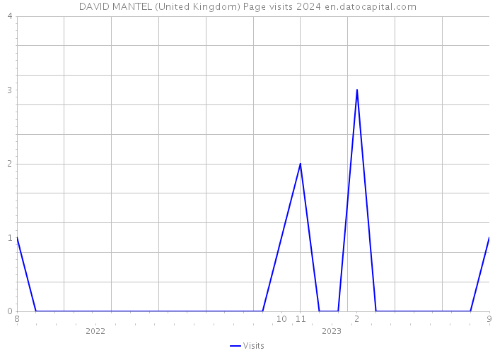 DAVID MANTEL (United Kingdom) Page visits 2024 