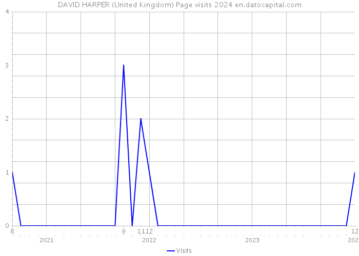 DAVID HARPER (United Kingdom) Page visits 2024 