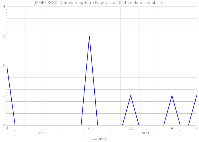 JAMES BOOL (United Kingdom) Page visits 2024 