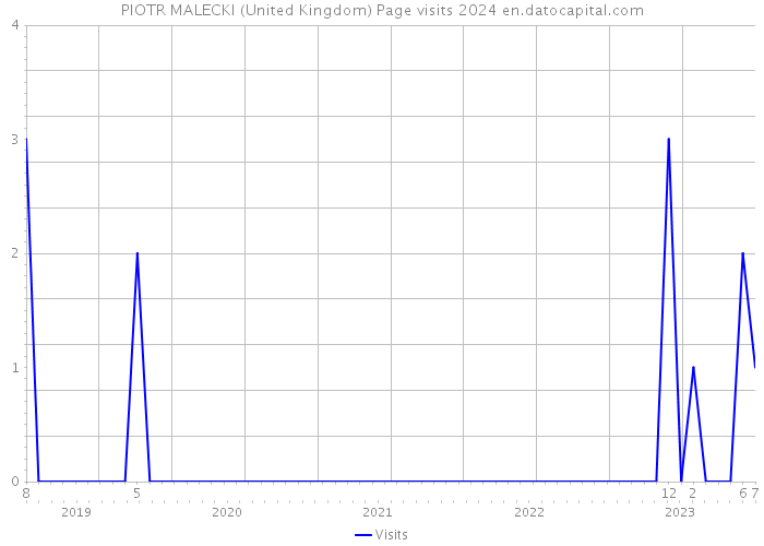PIOTR MALECKI (United Kingdom) Page visits 2024 