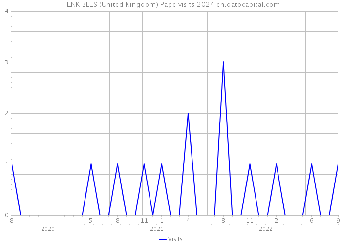 HENK BLES (United Kingdom) Page visits 2024 