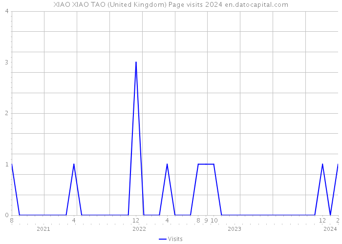 XIAO XIAO TAO (United Kingdom) Page visits 2024 