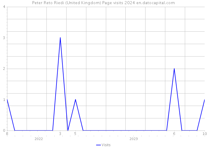 Peter Reto Riedi (United Kingdom) Page visits 2024 
