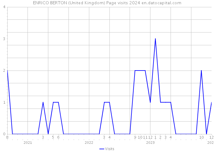 ENRICO BERTON (United Kingdom) Page visits 2024 