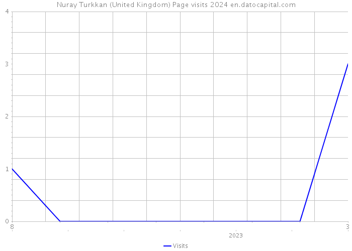 Nuray Turkkan (United Kingdom) Page visits 2024 