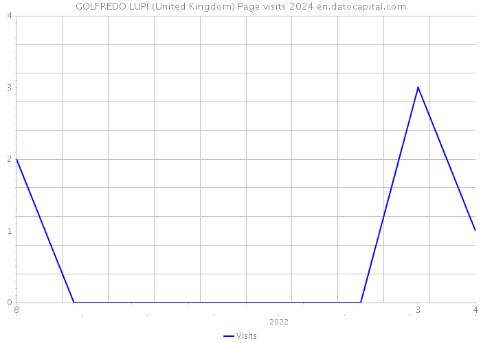 GOLFREDO LUPI (United Kingdom) Page visits 2024 