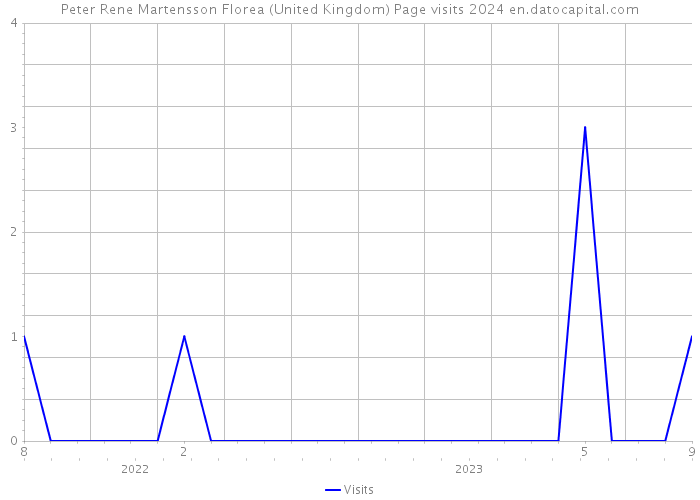 Peter Rene Martensson Florea (United Kingdom) Page visits 2024 