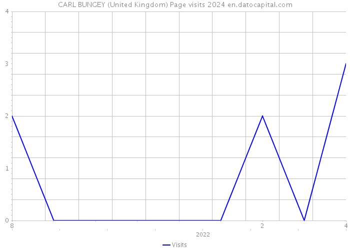 CARL BUNGEY (United Kingdom) Page visits 2024 