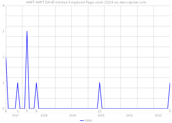 AMIT AMIT DAVE (United Kingdom) Page visits 2024 