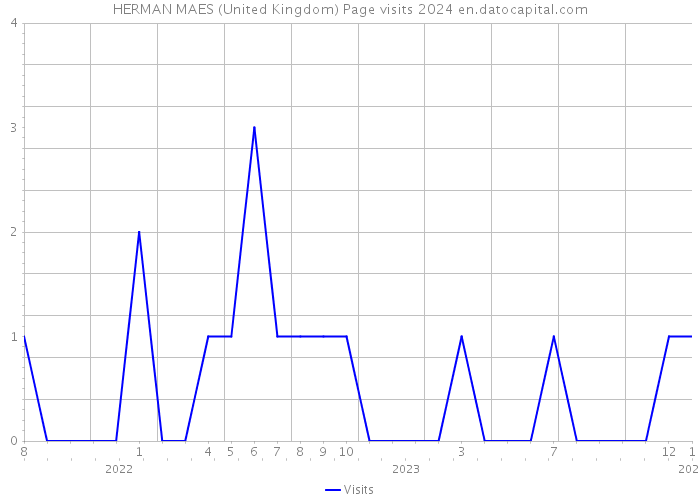 HERMAN MAES (United Kingdom) Page visits 2024 