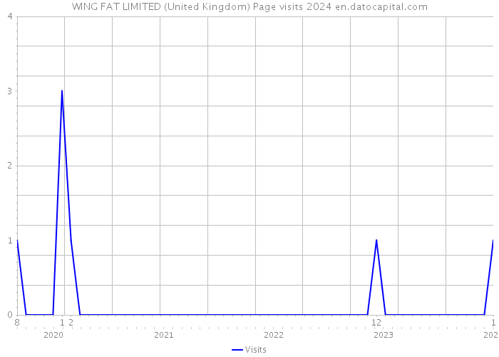 WING FAT LIMITED (United Kingdom) Page visits 2024 