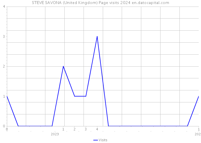 STEVE SAVONA (United Kingdom) Page visits 2024 