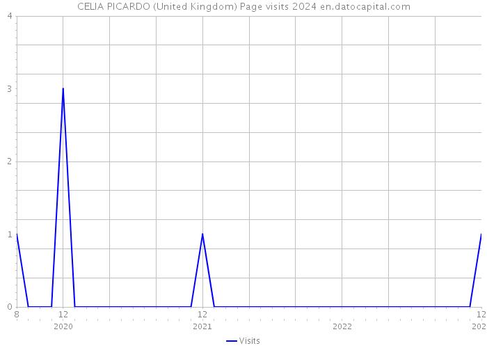 CELIA PICARDO (United Kingdom) Page visits 2024 