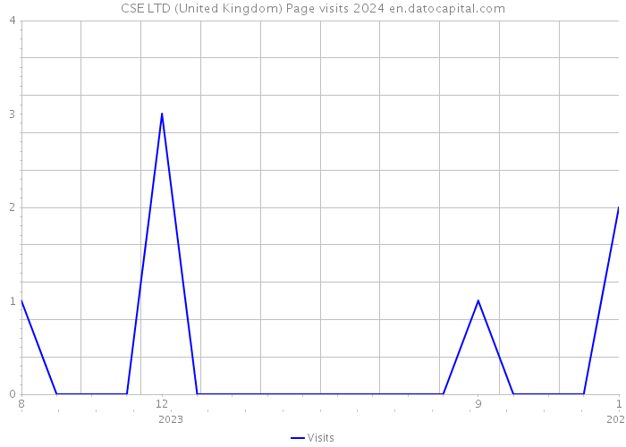 CSE LTD (United Kingdom) Page visits 2024 