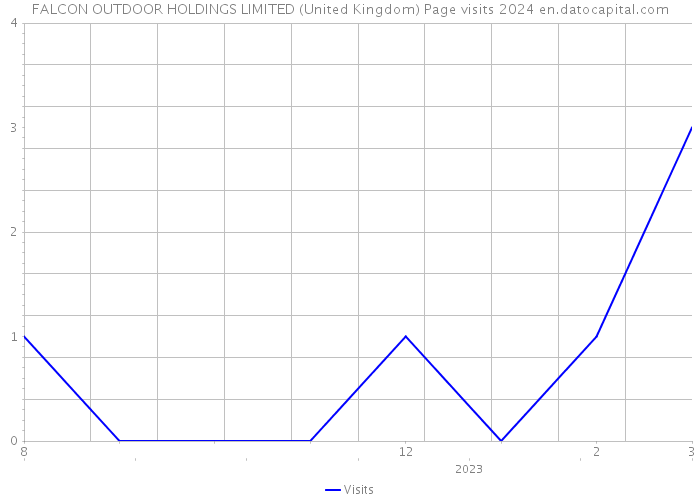 FALCON OUTDOOR HOLDINGS LIMITED (United Kingdom) Page visits 2024 