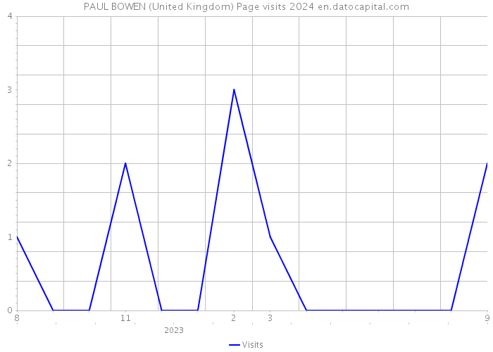 PAUL BOWEN (United Kingdom) Page visits 2024 