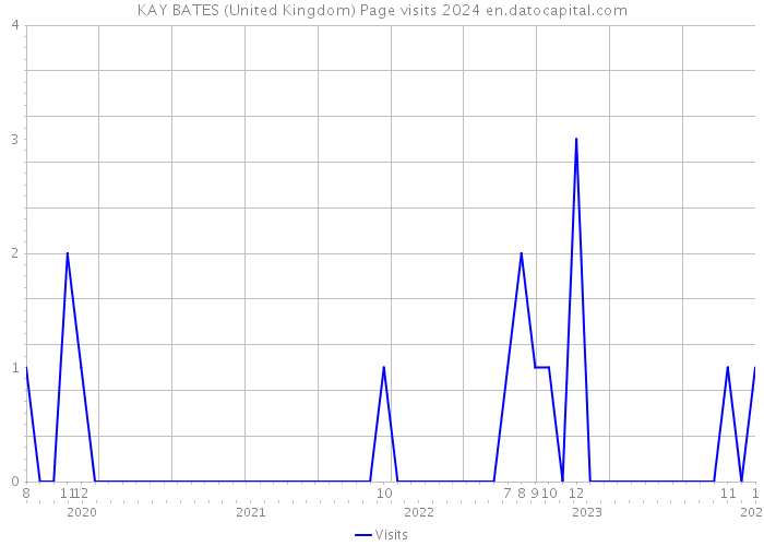 KAY BATES (United Kingdom) Page visits 2024 