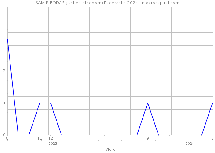 SAMIR BODAS (United Kingdom) Page visits 2024 