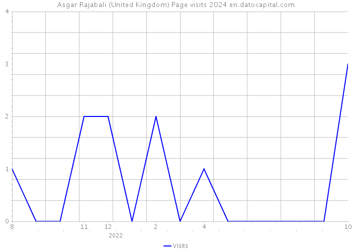 Asgar Rajabali (United Kingdom) Page visits 2024 