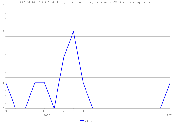 COPENHAGEN CAPITAL LLP (United Kingdom) Page visits 2024 