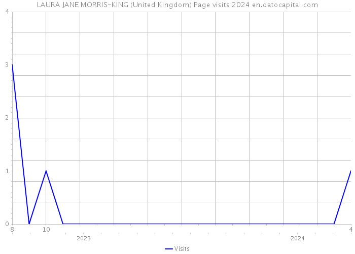 LAURA JANE MORRIS-KING (United Kingdom) Page visits 2024 