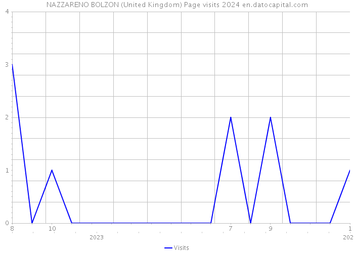 NAZZARENO BOLZON (United Kingdom) Page visits 2024 