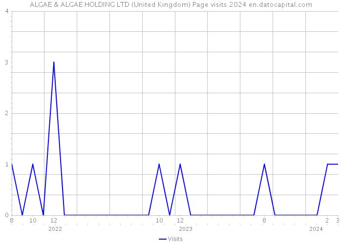 ALGAE & ALGAE HOLDING LTD (United Kingdom) Page visits 2024 