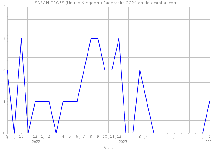 SARAH CROSS (United Kingdom) Page visits 2024 