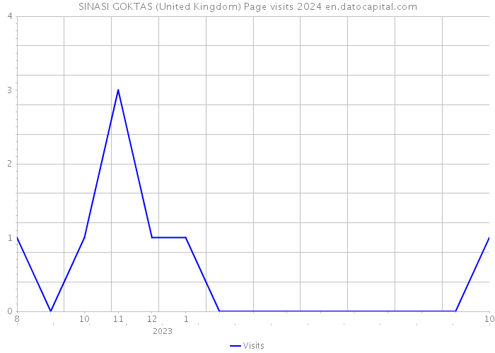 SINASI GOKTAS (United Kingdom) Page visits 2024 