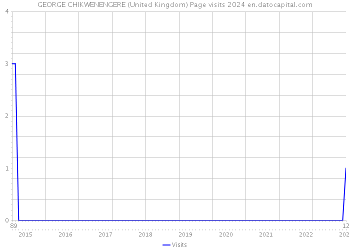 GEORGE CHIKWENENGERE (United Kingdom) Page visits 2024 
