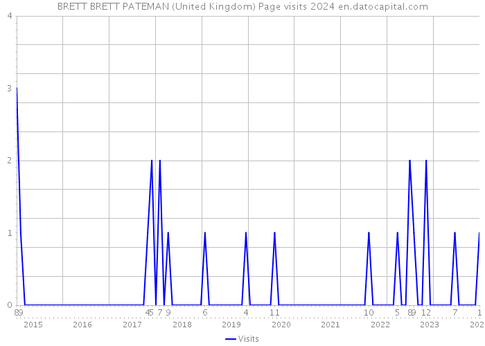 BRETT BRETT PATEMAN (United Kingdom) Page visits 2024 