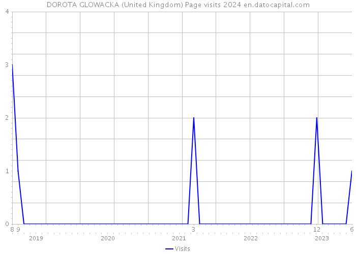 DOROTA GLOWACKA (United Kingdom) Page visits 2024 