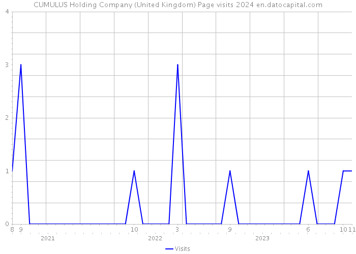 CUMULUS Holding Company (United Kingdom) Page visits 2024 