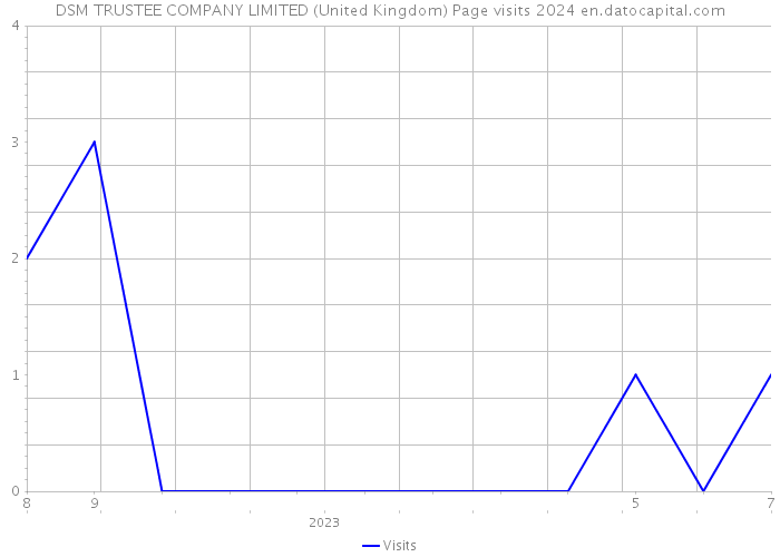 DSM TRUSTEE COMPANY LIMITED (United Kingdom) Page visits 2024 