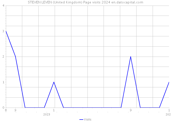 STEVEN LEVEN (United Kingdom) Page visits 2024 