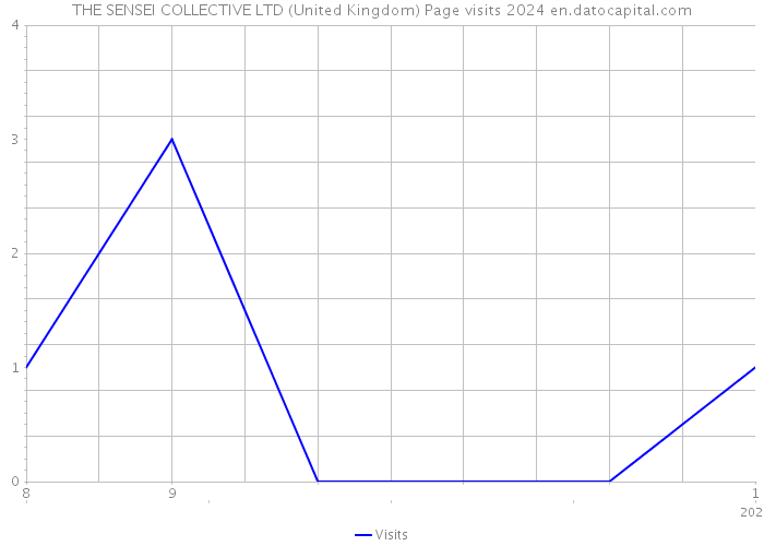 THE SENSEI COLLECTIVE LTD (United Kingdom) Page visits 2024 