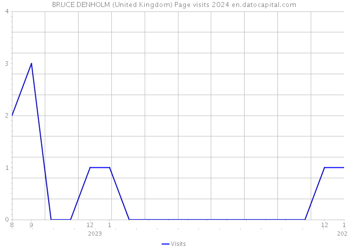 BRUCE DENHOLM (United Kingdom) Page visits 2024 