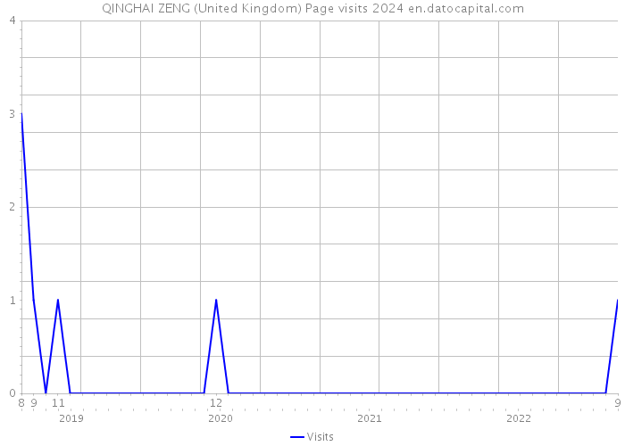 QINGHAI ZENG (United Kingdom) Page visits 2024 