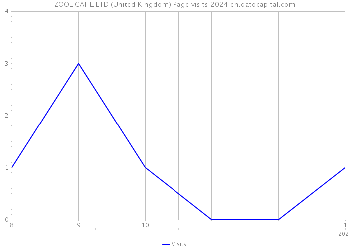 ZOOL CAHE LTD (United Kingdom) Page visits 2024 