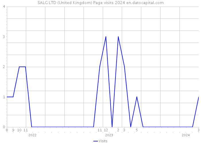 SALG LTD (United Kingdom) Page visits 2024 