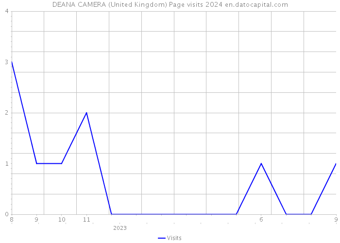 DEANA CAMERA (United Kingdom) Page visits 2024 