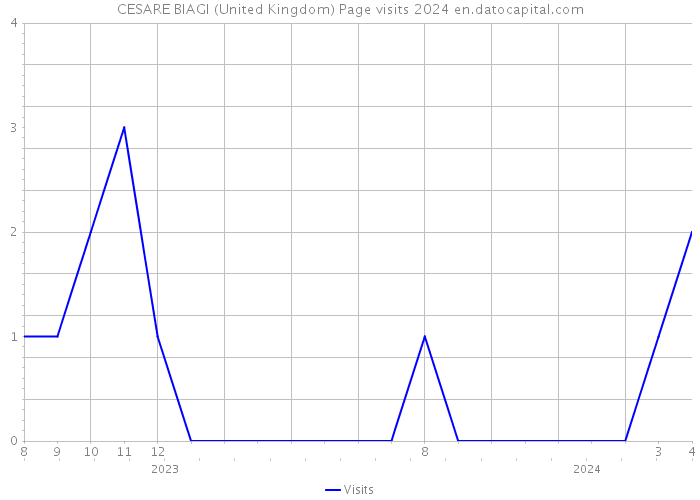 CESARE BIAGI (United Kingdom) Page visits 2024 