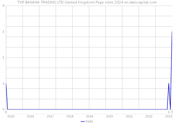 TOP BANANA TRADING LTD (United Kingdom) Page visits 2024 