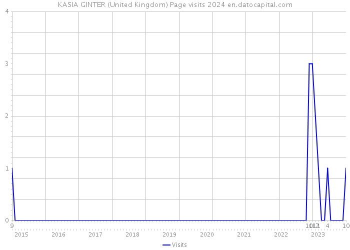 KASIA GINTER (United Kingdom) Page visits 2024 