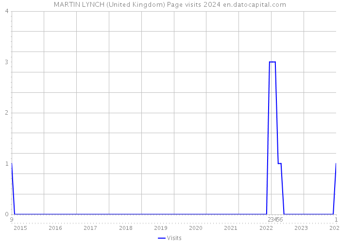 MARTIN LYNCH (United Kingdom) Page visits 2024 