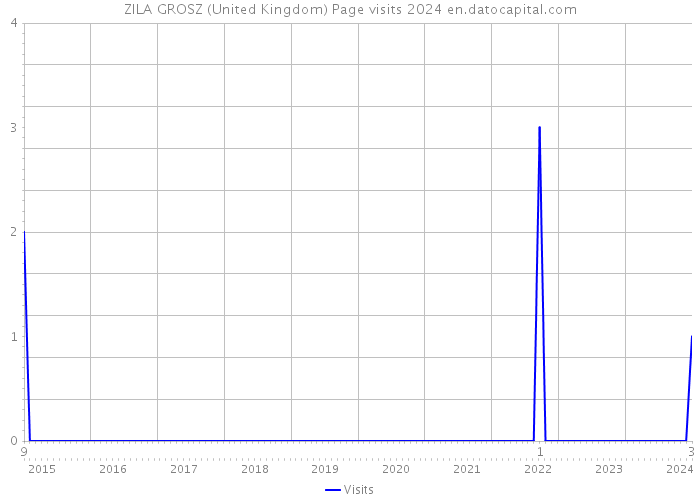 ZILA GROSZ (United Kingdom) Page visits 2024 